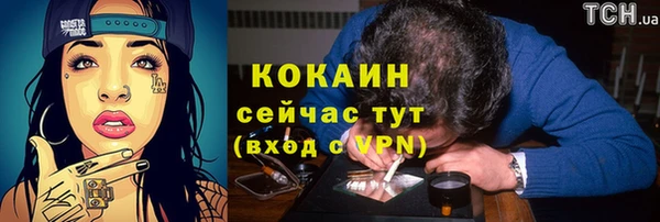 Альфа ПВП Белокуриха