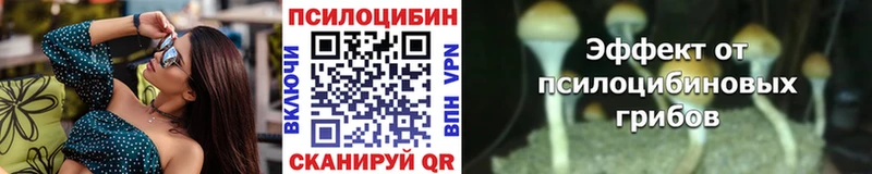 ОМГ ОМГ ссылки  Чёрмоз  Псилоцибиновые грибы ЛСД  закладка 